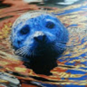 Meet your Posher, Sheila